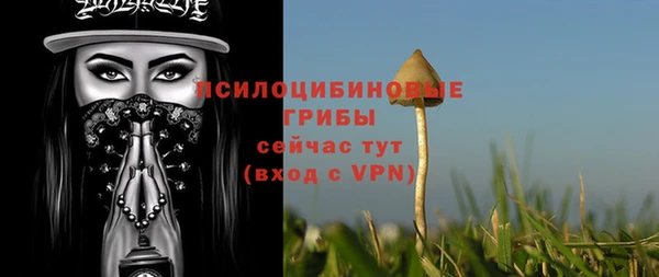 твердый Алзамай