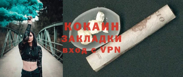индика Абаза