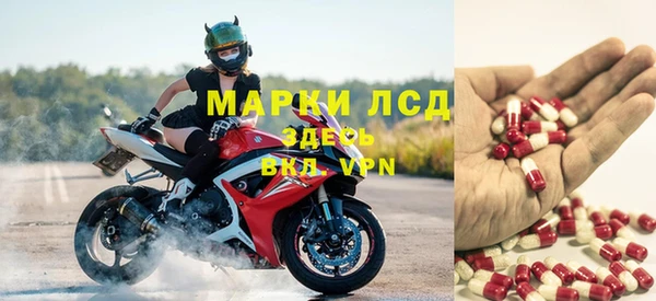 твердый Алзамай