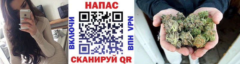 Шишки марихуана гибрид  Новосибирск 